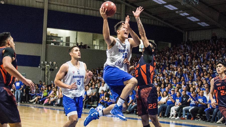 Basquetbol