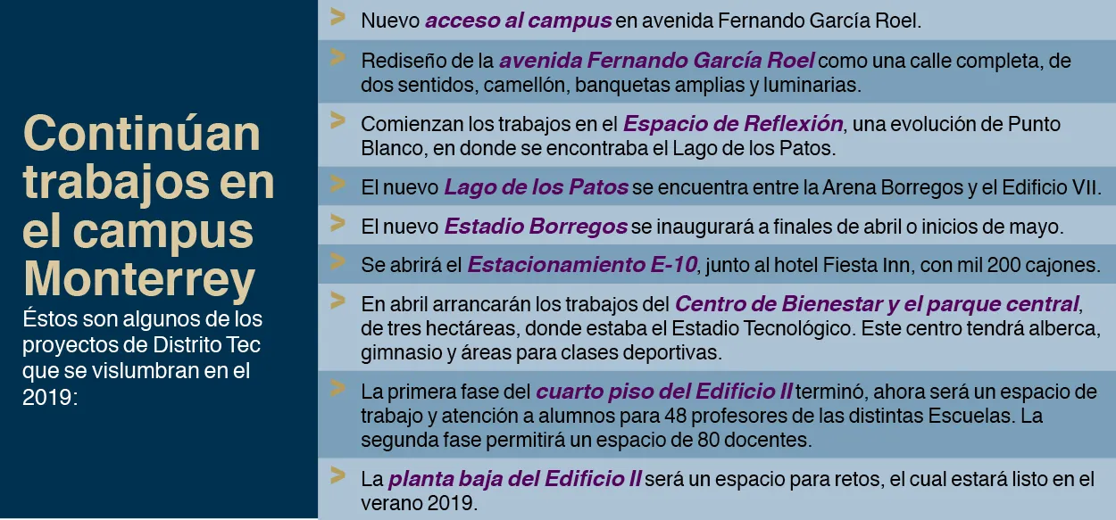 Año 2019