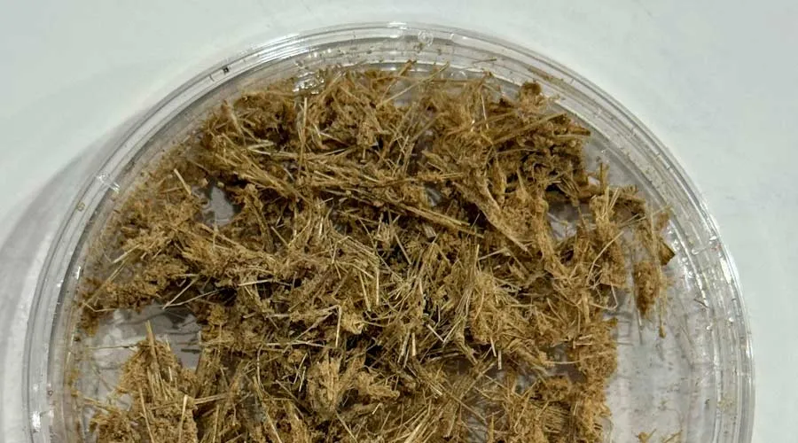 Va-Nano es un proyecto desarrollado por EXATEC del campus Querétaro que consiste en un biopolímero obtenido a partir de residuos de plátano.