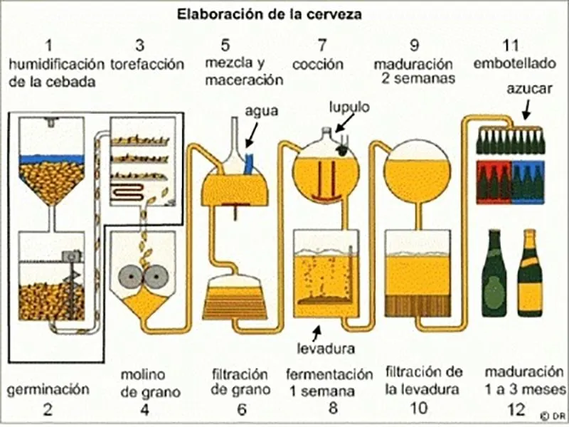 infografía