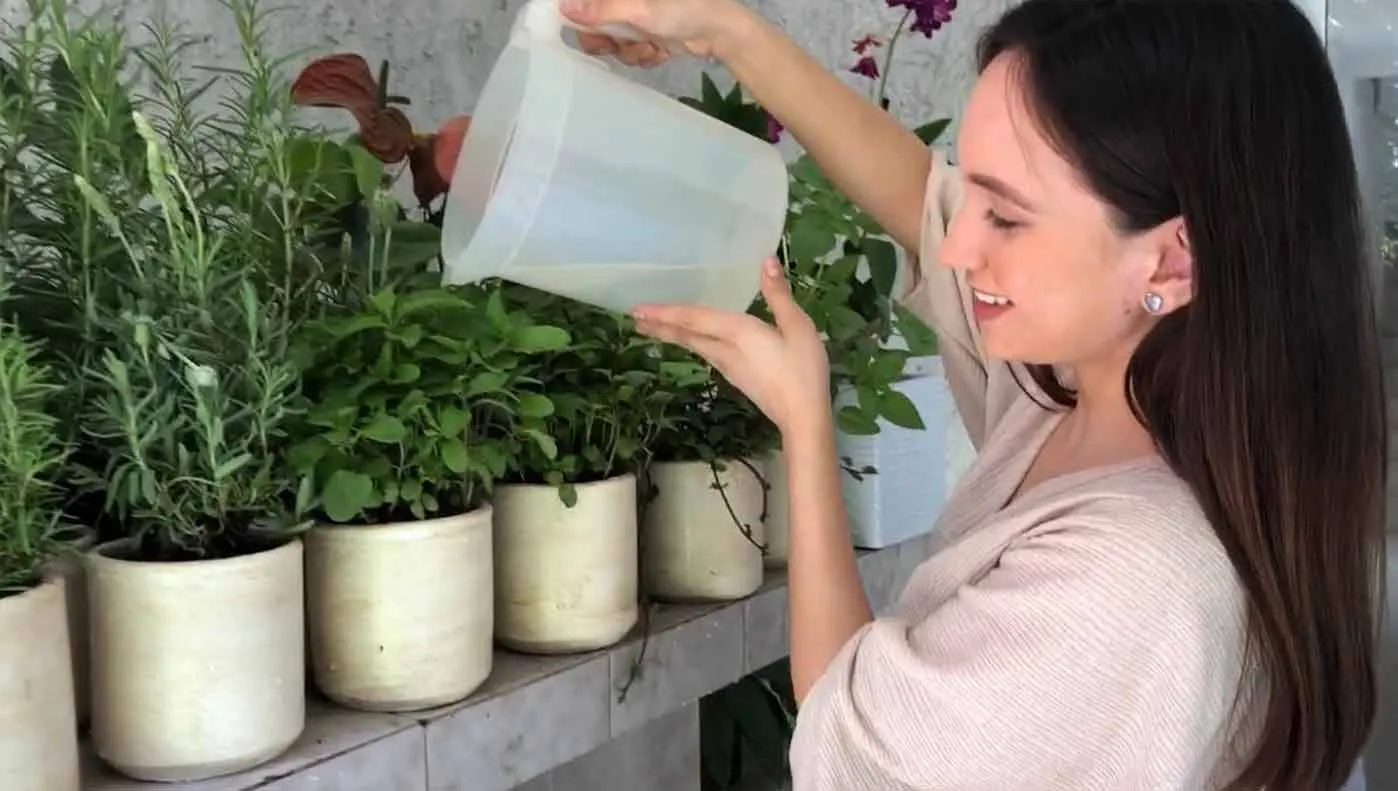 Emprendimiento alumna Comunicación de huertos urbanos