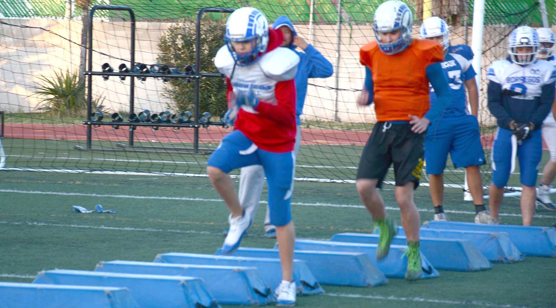 Entrenamiento con Borregos de Chihuahua