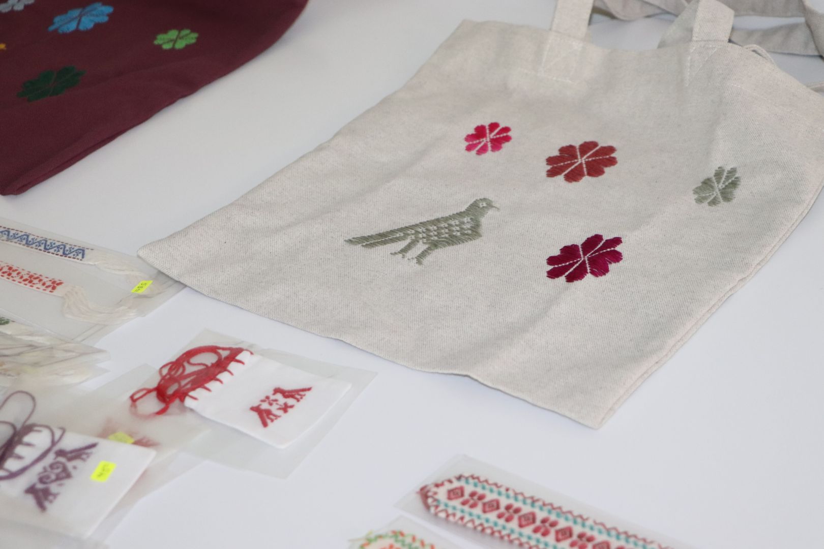 Flor y canto Valle del Mezquital