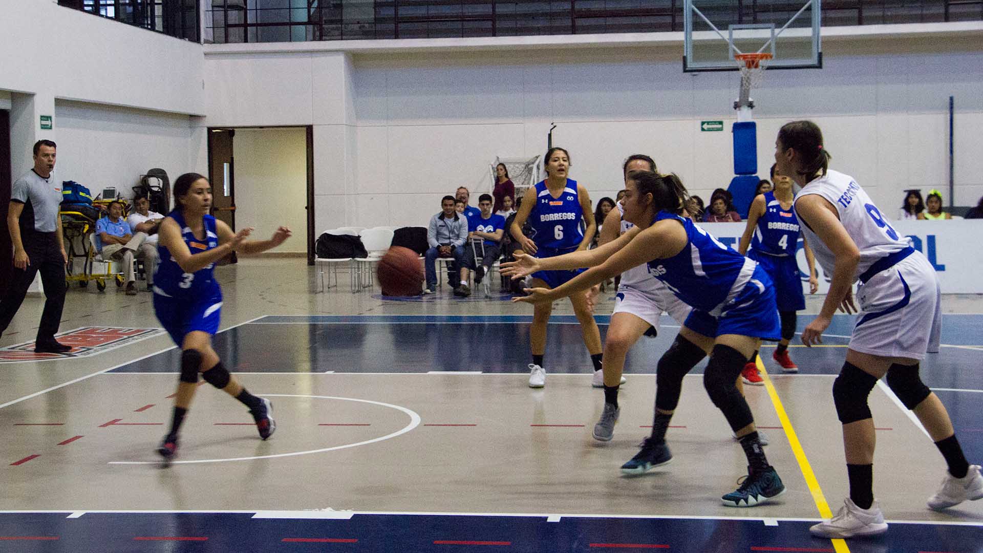 A pesar del esfuerzo, nuestro equipo de baloncesto femenil no logró obtener victorias esta jornada.