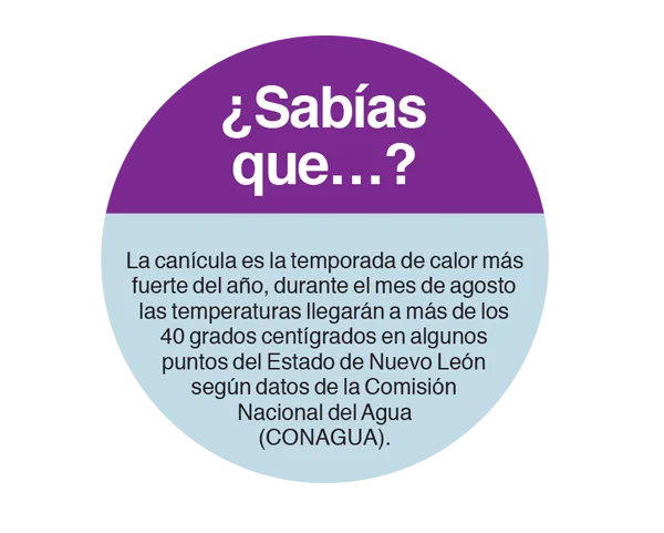 Hidratación
