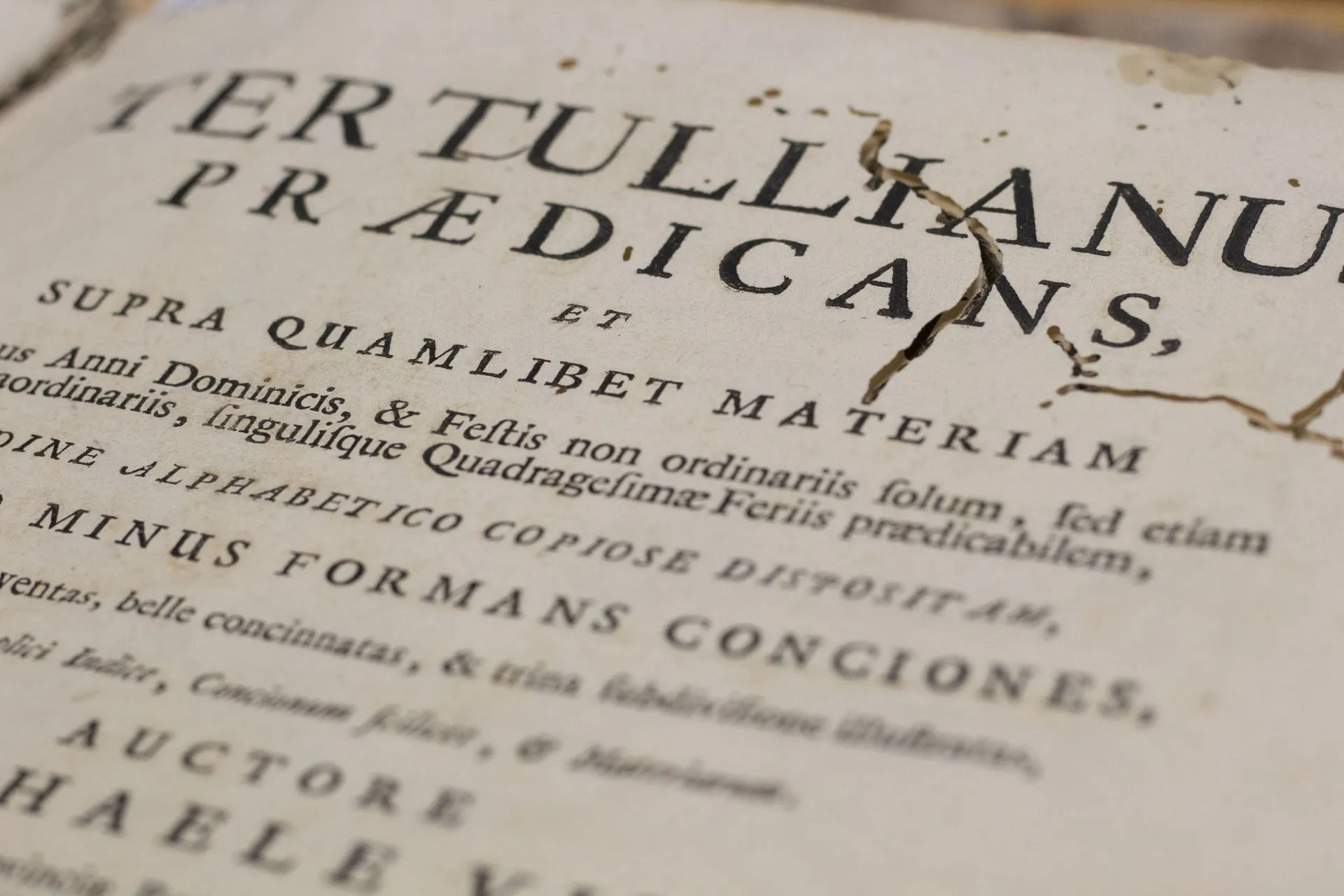 Libro con marcas de deterioro por insectos
