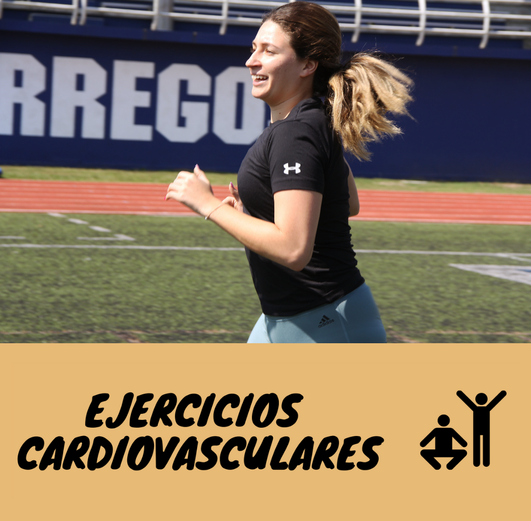 Ejercicios Cardiovasculares