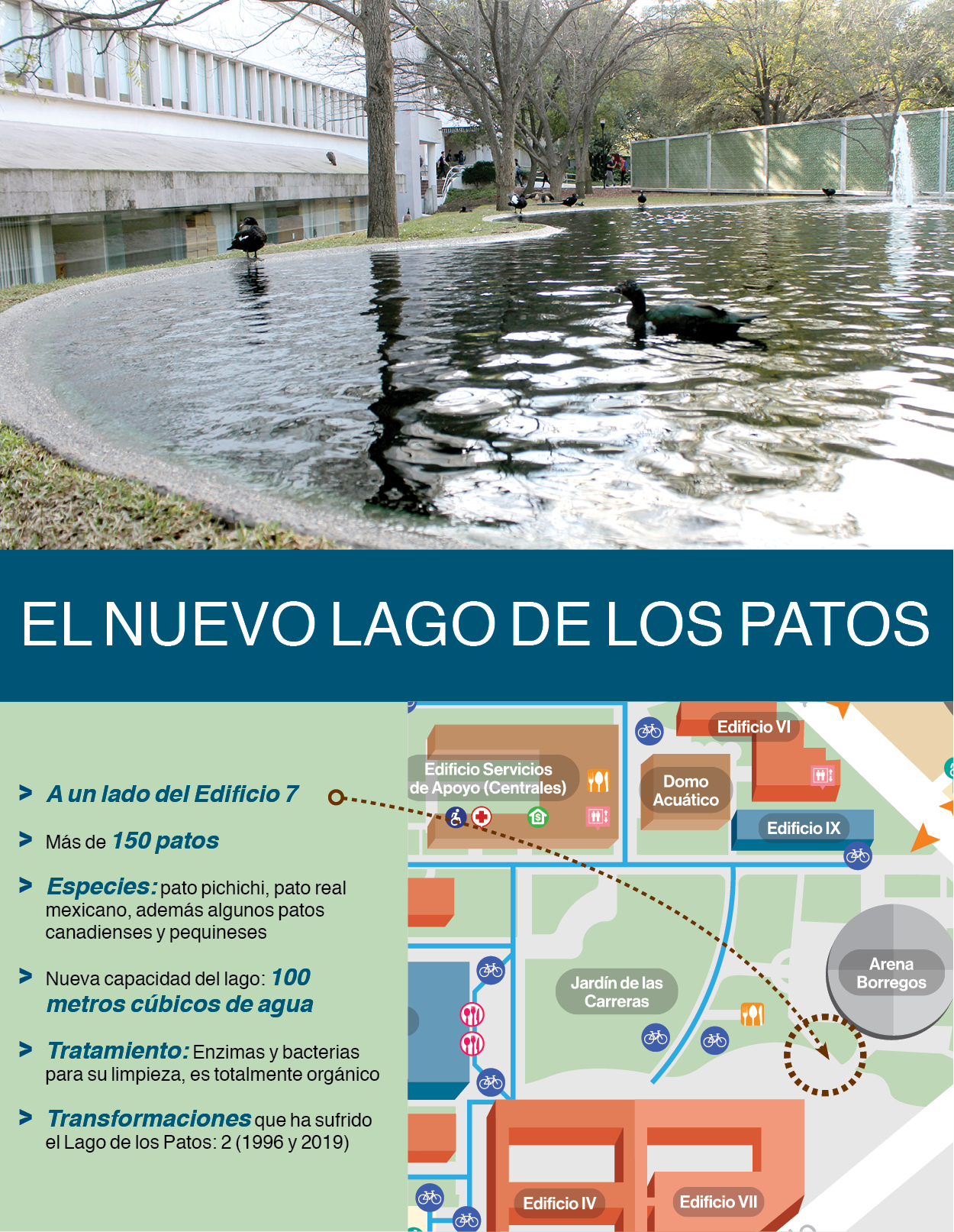 ¿Y dónde quedó el Lago de los Patos?