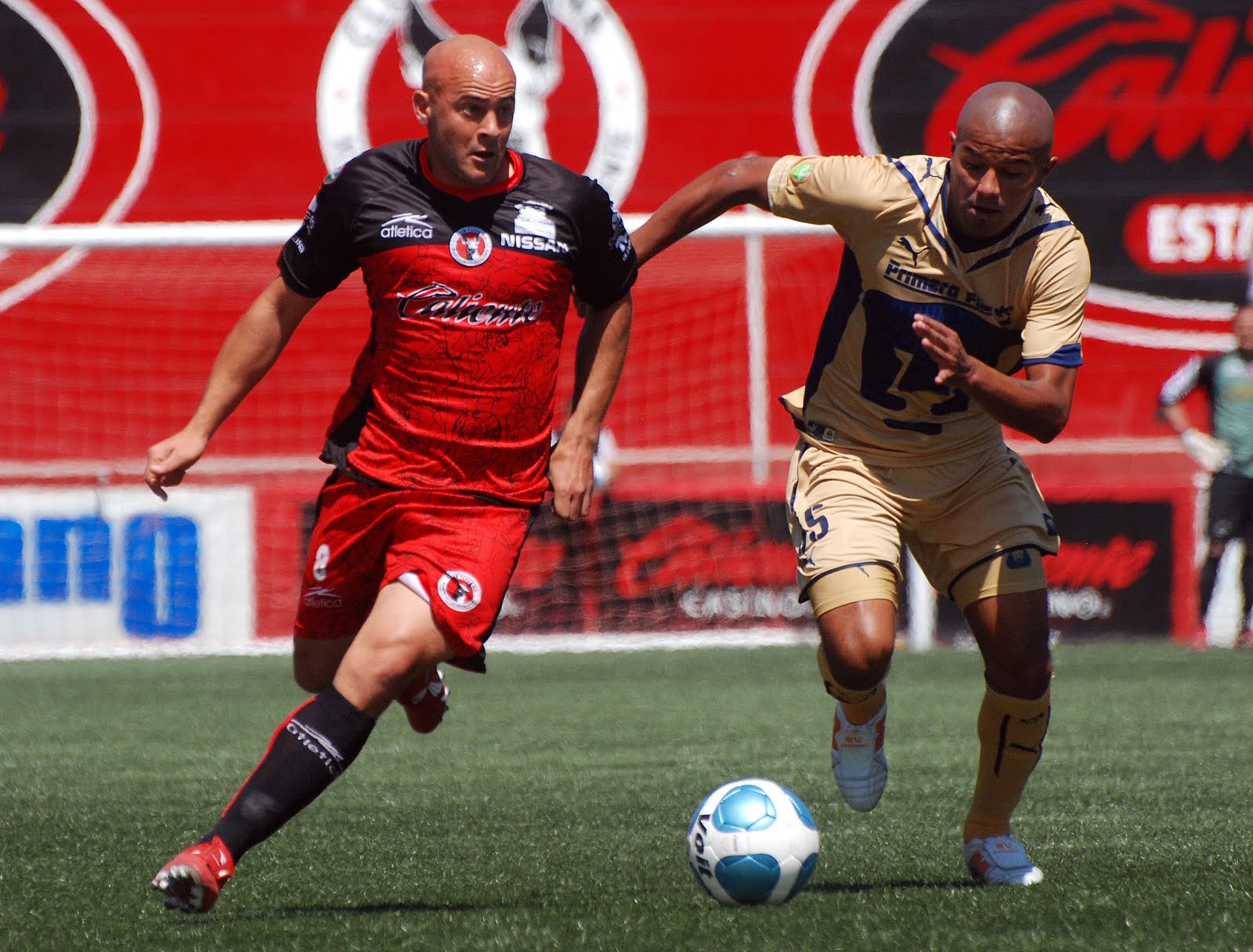 Xoloitcuintles vs Pumas