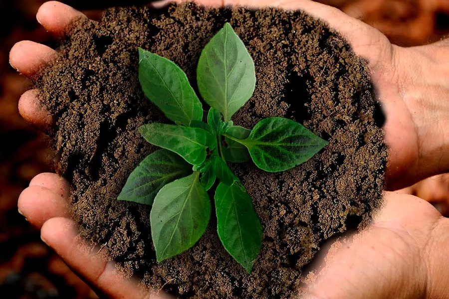 agricultura-fertilizantes-alumno-tec