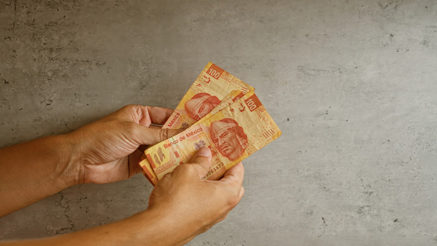 dinero mexicanos