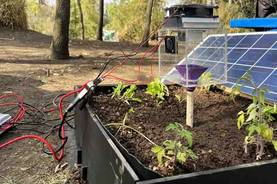 Alumnos del Tec en Santa Fe crearon dispositivo que busca aprovechar humedad ambiental para cosechar agua