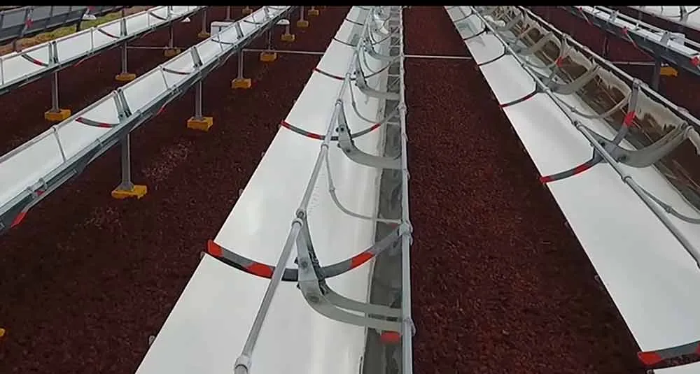 Inventive Power empresa de Ángel y Aldo egresados del Tec de Monterrey