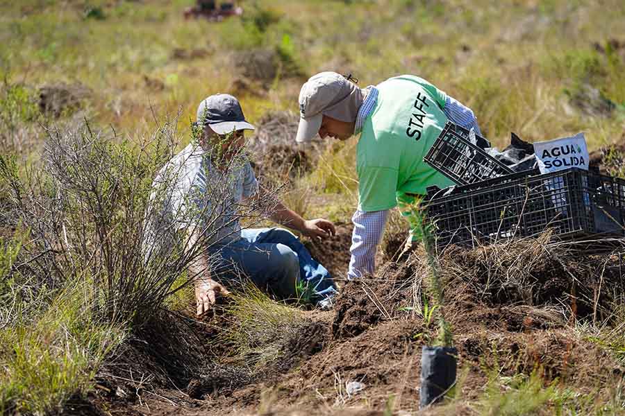 La reforestación recibió el apoyo de estudiantes, organizaciones, empresas y voluntarios externos.