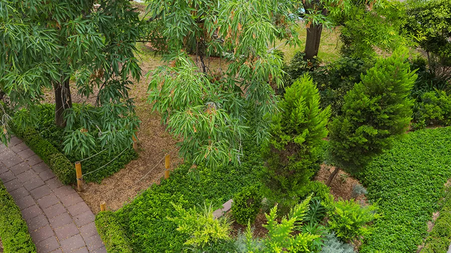 campus aguascalientes área verde,