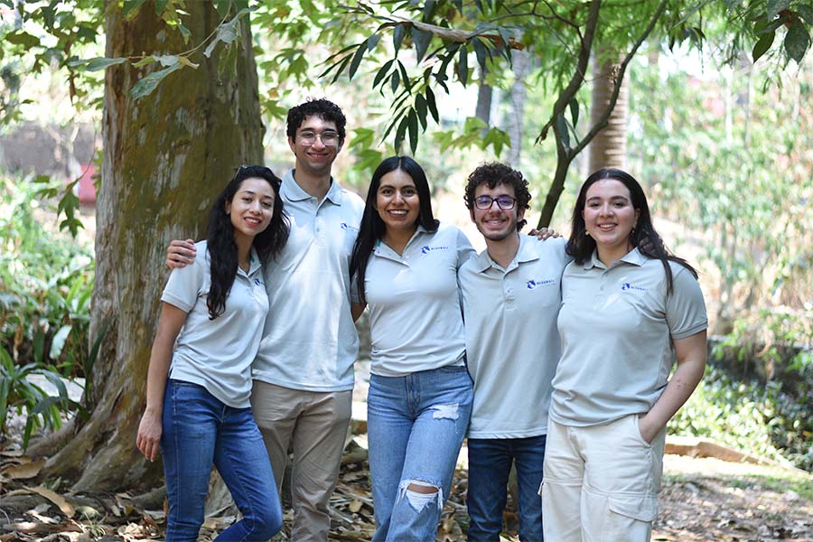 equipo de bluekali