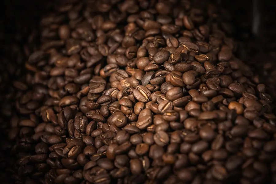 café orgánico Tziscao