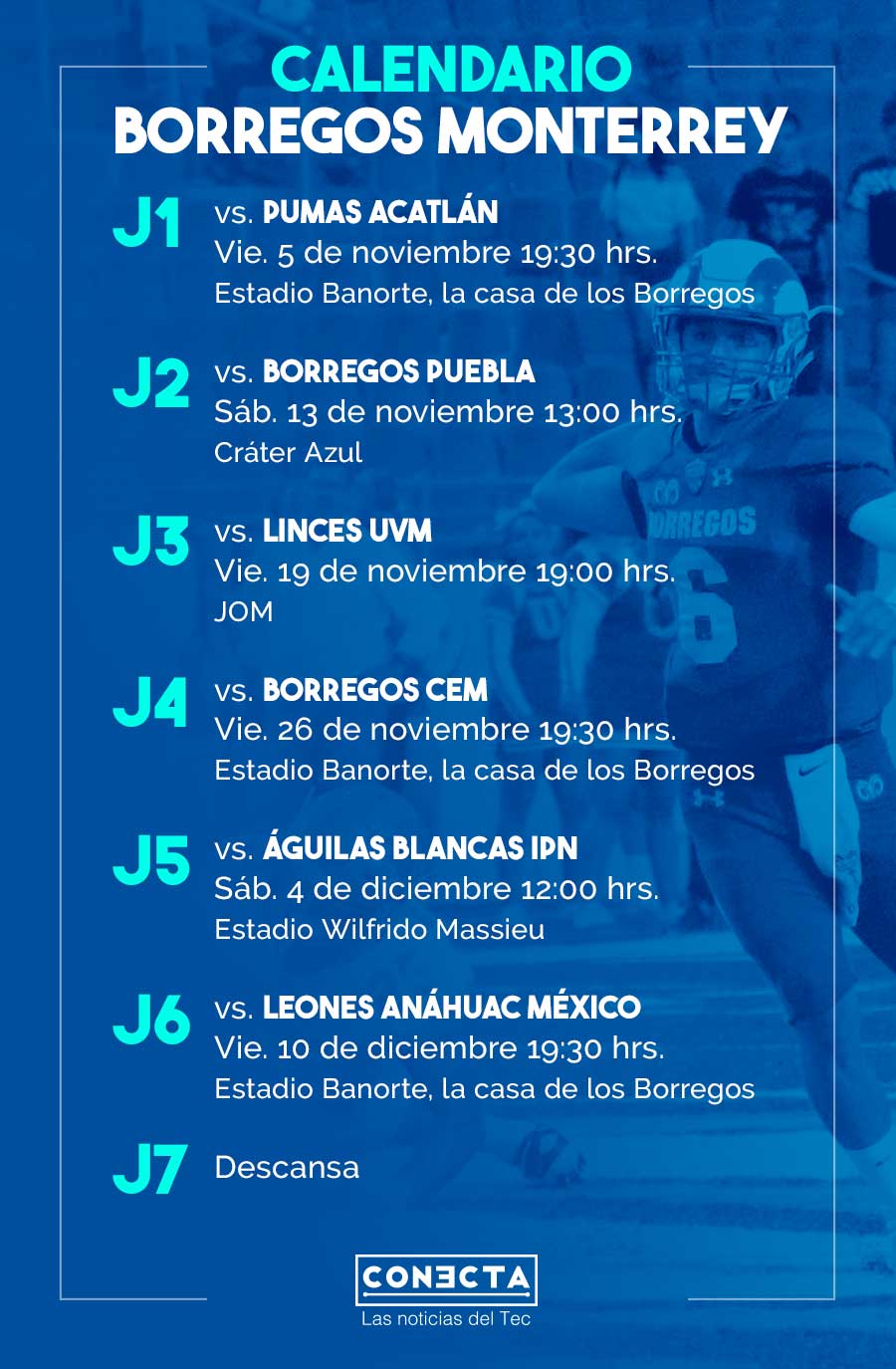 Calendario Borregos salvajes. 