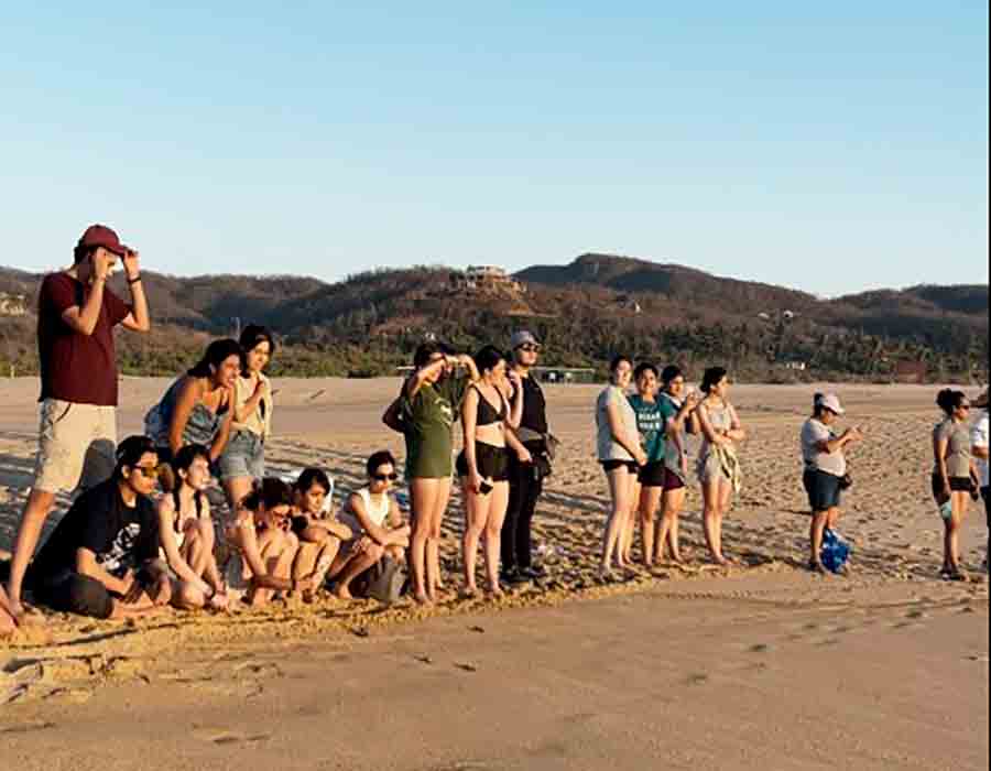 Campamento tortuguero para participantes de grupo estudiantil Manos Verdes, del Tec Guadalajara.