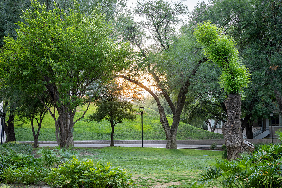 campus sostenible