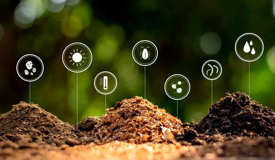 Composta y sus elementos