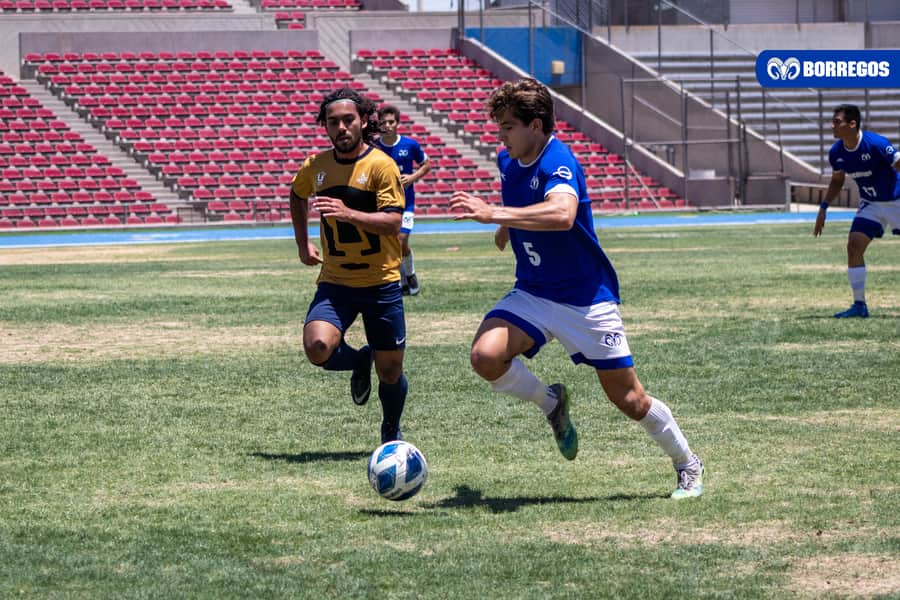 Los Borregos de Monterrey lograron el doblete por primera vez.