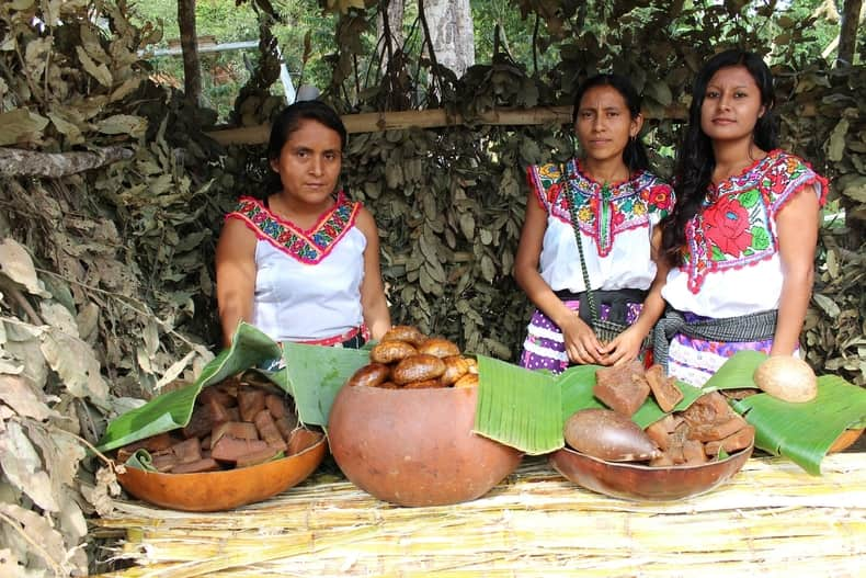 XI Congreso de Relaciones Internacional del Tec Guadalajara (Re)conociendo a los pueblos indígenas de América Latina: Voces y acercamientos