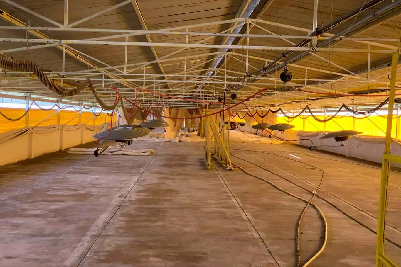 empresa-exatec-tec-monterrey-incubación-y-desarrollo-de-aves