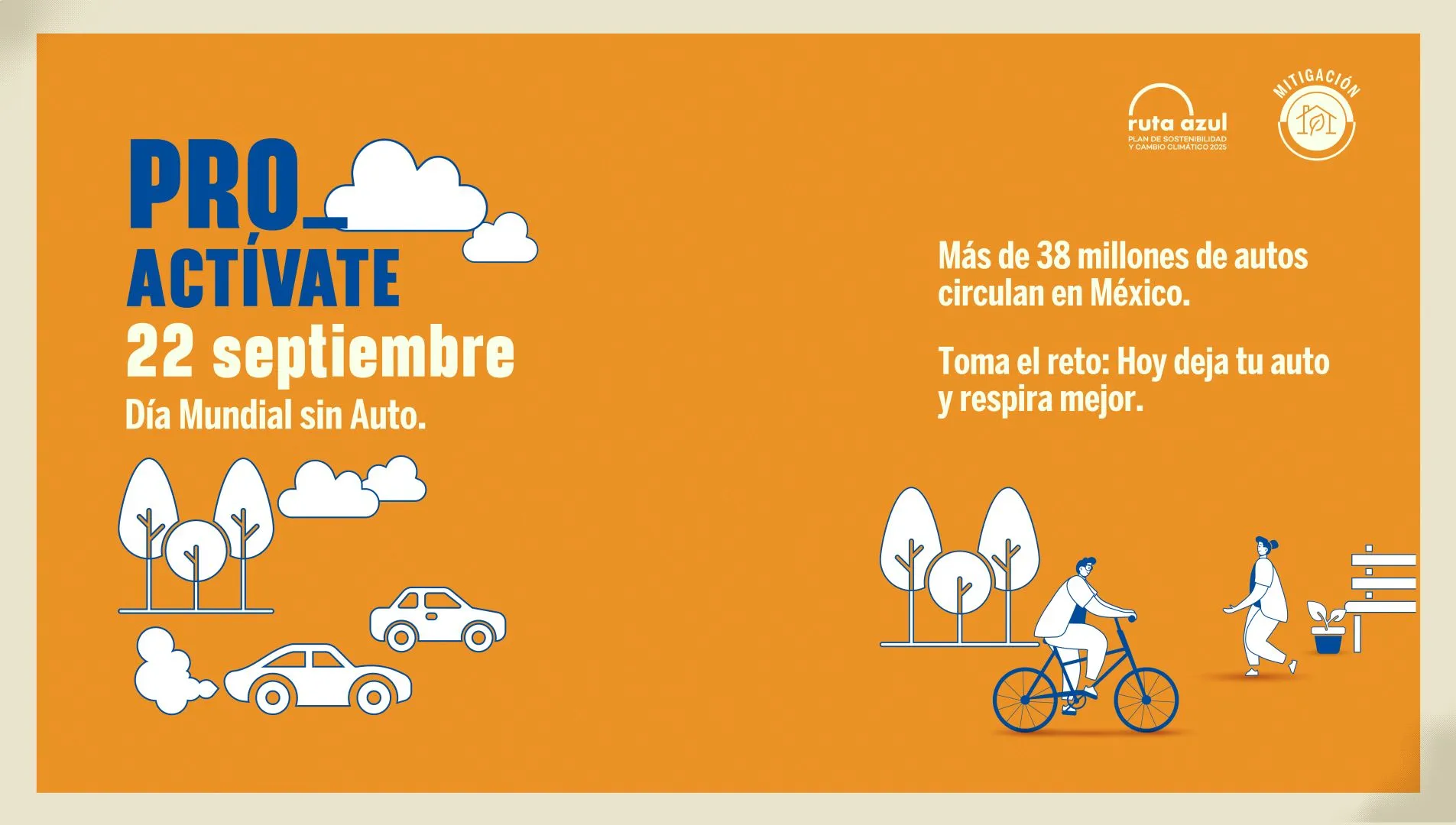 Flyer de Ruta Azul para usar otros tipos de transporte.