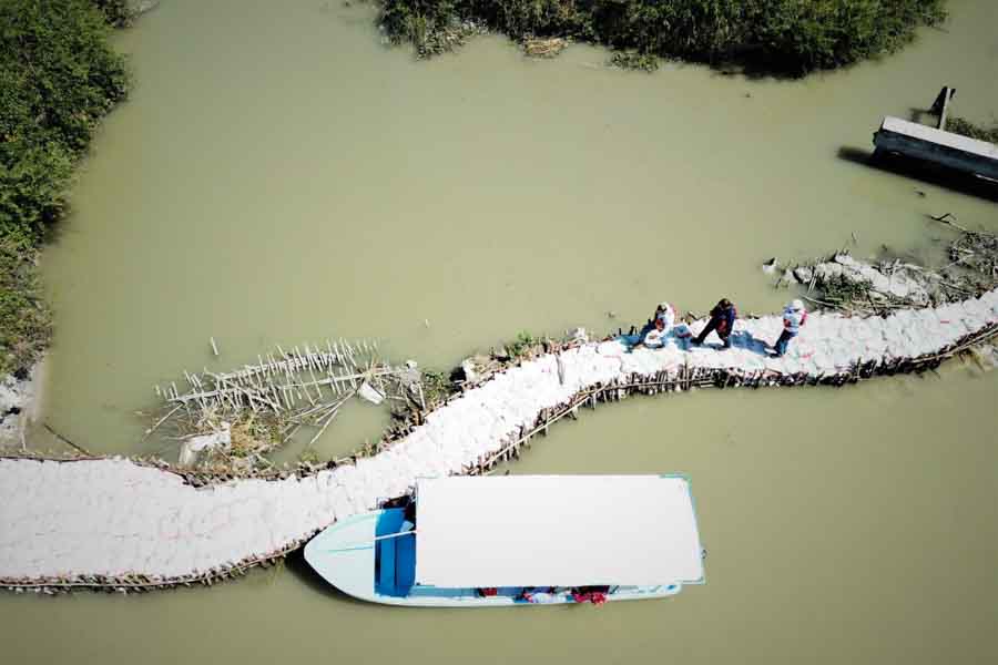 Dique el camalote sufre falla en tampico y se filtra agua salada al sistema lagunario