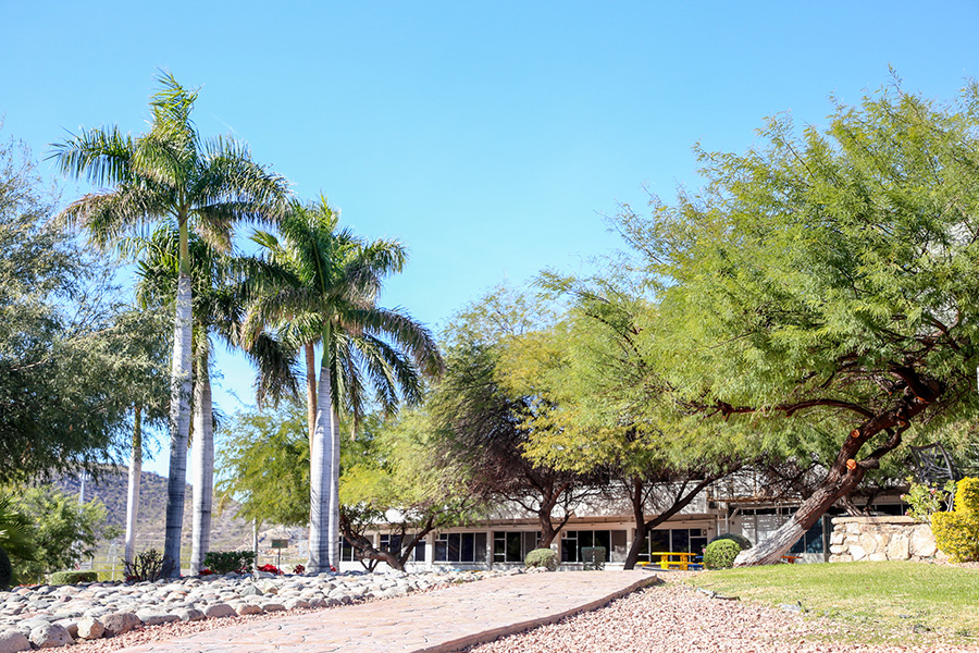 campus sonora norte