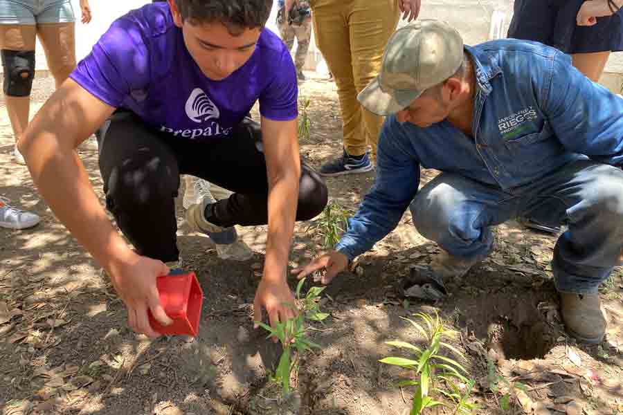 Personal de la PrepaTec y estudiantes sembrando las plantas. 