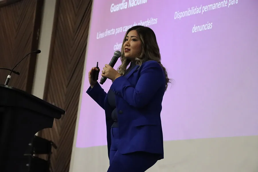 Estrategias en ciberseguridad.