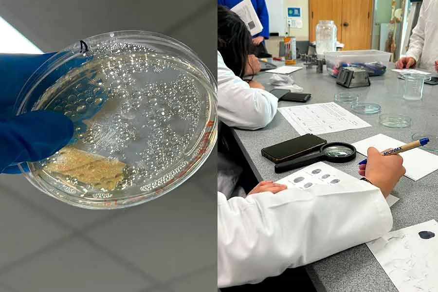 estudiante-de-prepatec-en-practicas-donde-descubrio-la-base-de-su-proyecto-para-postularse-a-programa-internacional