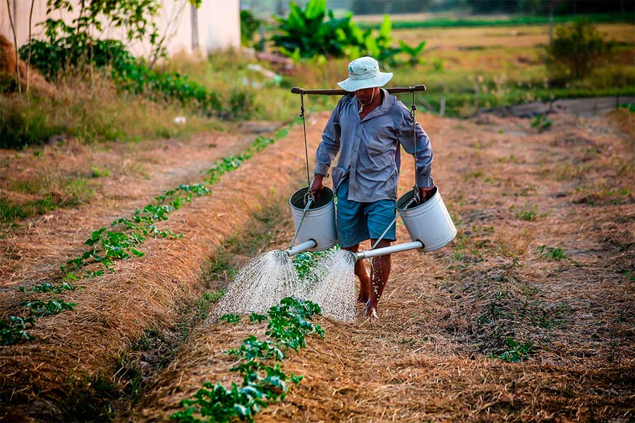 fertilizantes-agricultura