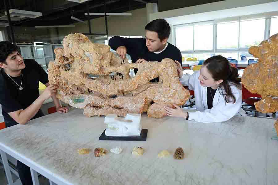 Futuro de la arquitectura en Bienal de Venecia, en el que participaron estudiantes del Tec Guadalajara. 
