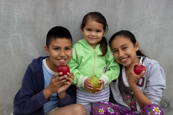 El Tec de Monterrey apoya la campaña Hambre Cero Nuevo León desde hace varios años.