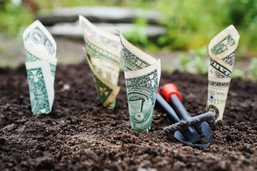 Haz crecer tu dinero administrándolo de la mejor manera