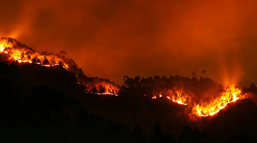 Los incendios forestales han afectado 14 millones de hectáreas en México