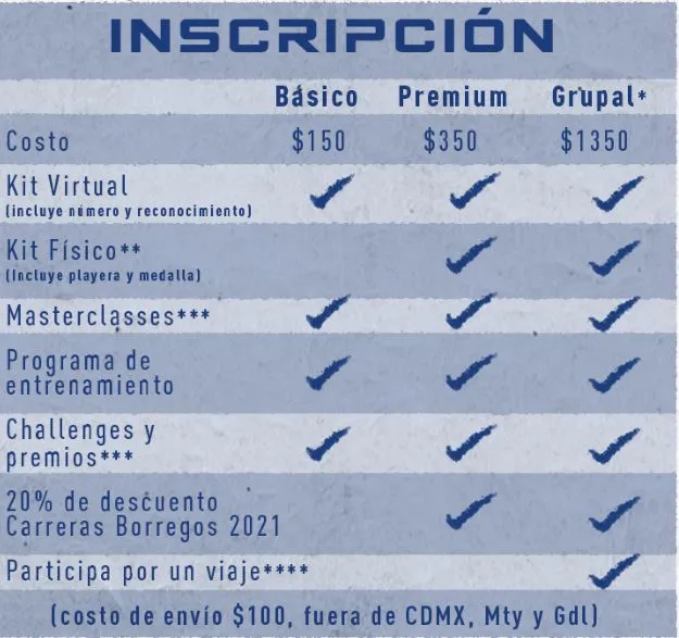 Carrera Borregos Virtual 2020