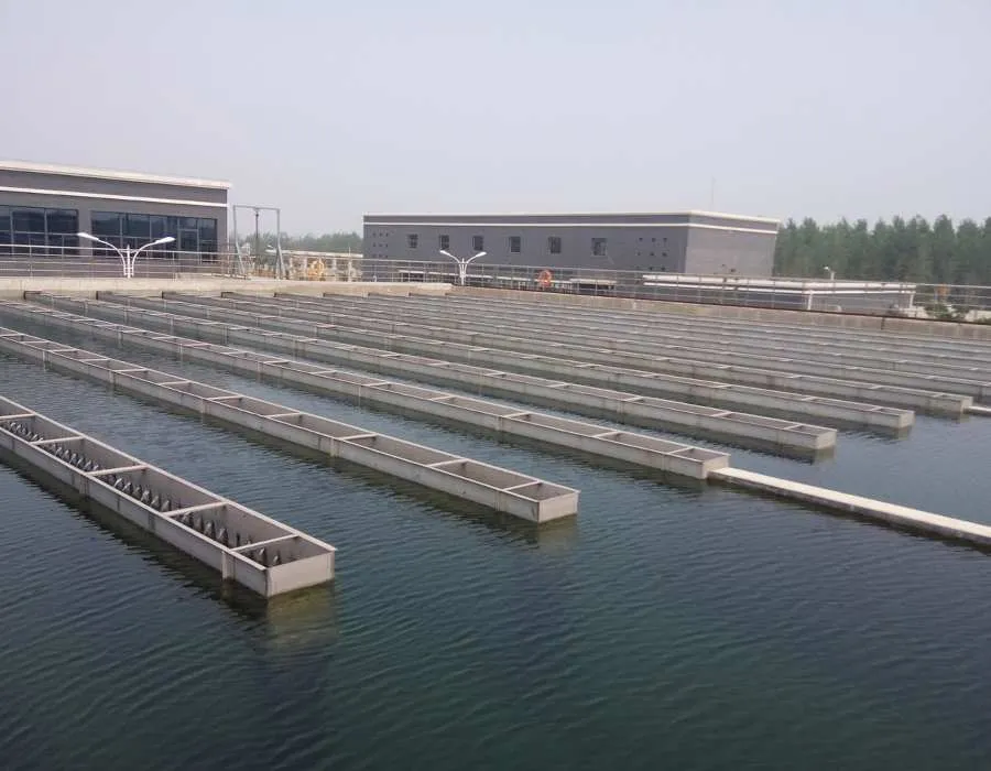 Urgen acciones en pro del agua