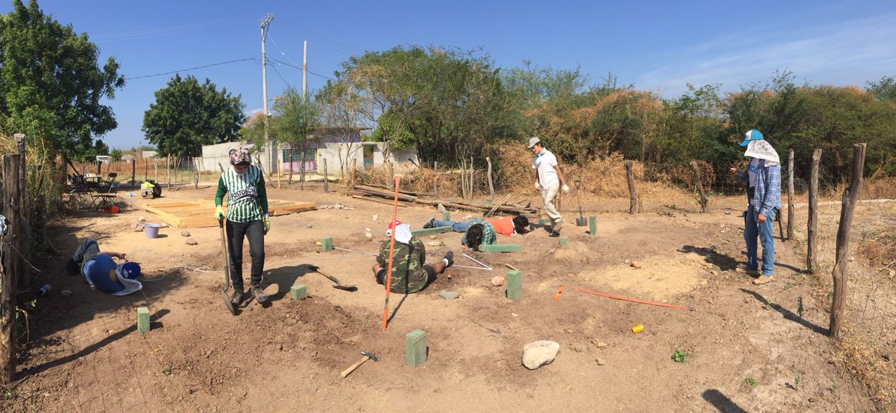 Los colaboradores del Tec podrán unirse al Programa de Voluntariado.