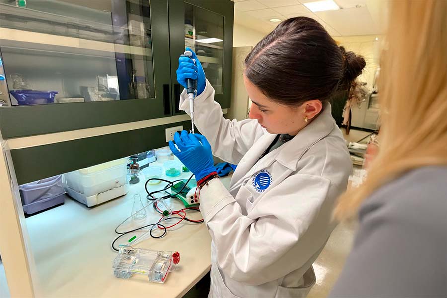 equipo busca la bacteria contra dengue