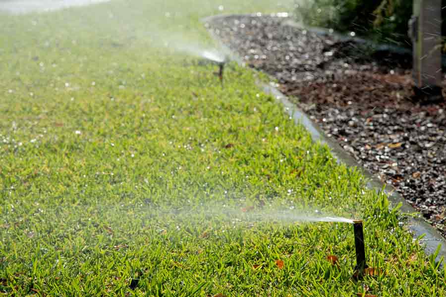 Las áreas verdes del campus Monterrey son regadas con agua tratada.