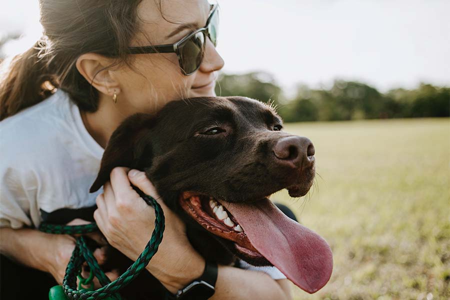 Este 14 de febrero también se celebra el amor hacia nuestras mascotas