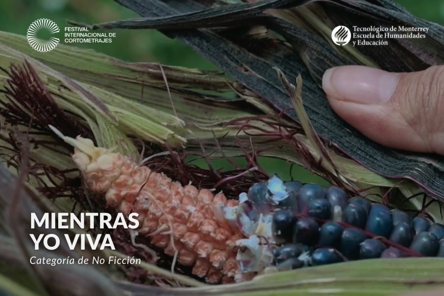 Escena de Mientras yo viva, documental sobre mujeres de Milpa Alta que conservan las tradiciones agrícolas de su comunidad.