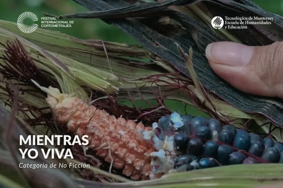 Escena de Mientras yo viva, documental sobre mujeres de Milpa Alta que conservan las tradiciones agrícolas de su comunidad.