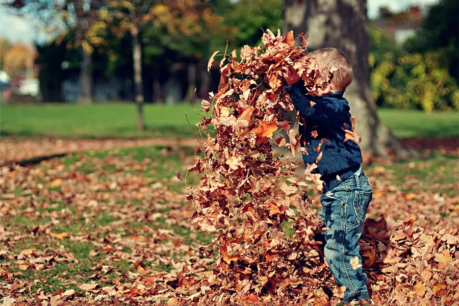 Niño jugando con hojas.