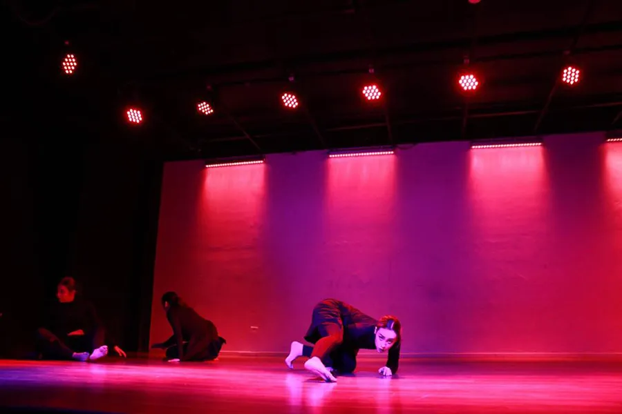 Profesora Sofía Martínez en una presentación de danza contemporánea