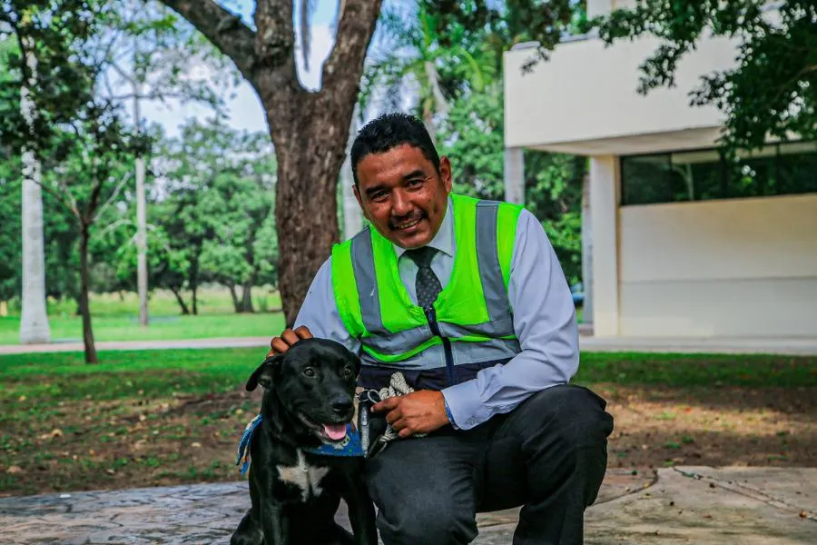 nuevo-guardián-peludo